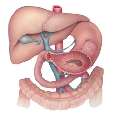 ENFERMEDAD GASTROINTESTINAL