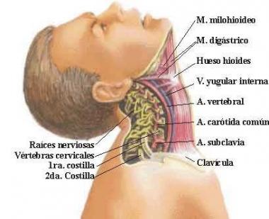 HIPEREXTENSIÓN CERVICAL