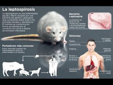 LEPTOSPIROSIS