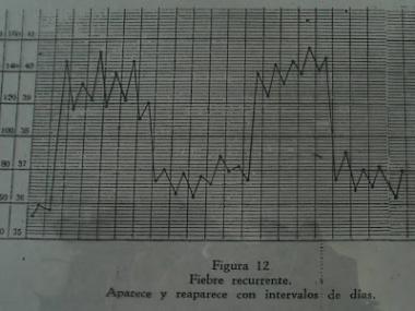 FIEBRE RECURRENTE TRANSMITIDA POR PIOJOS