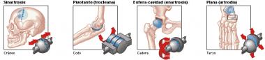 ARTICULACIÓN