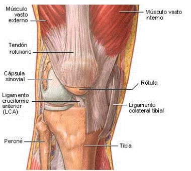 ARTICULACIÓN