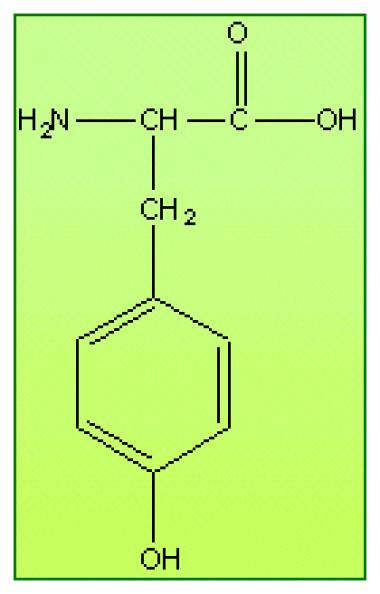 HIPERTIROSINEMIA