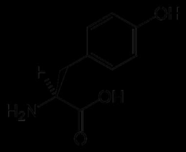 TIROSINEMIA